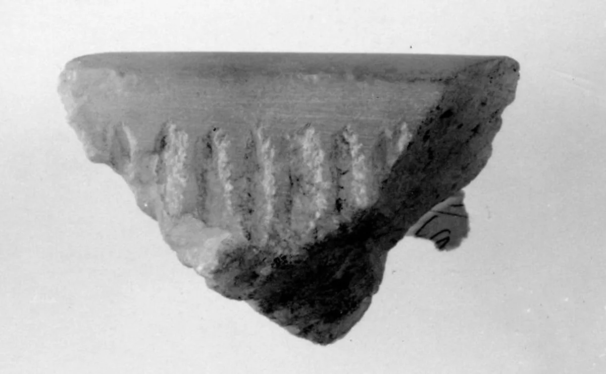 Canopic Chest Lid Fragment — Unknown