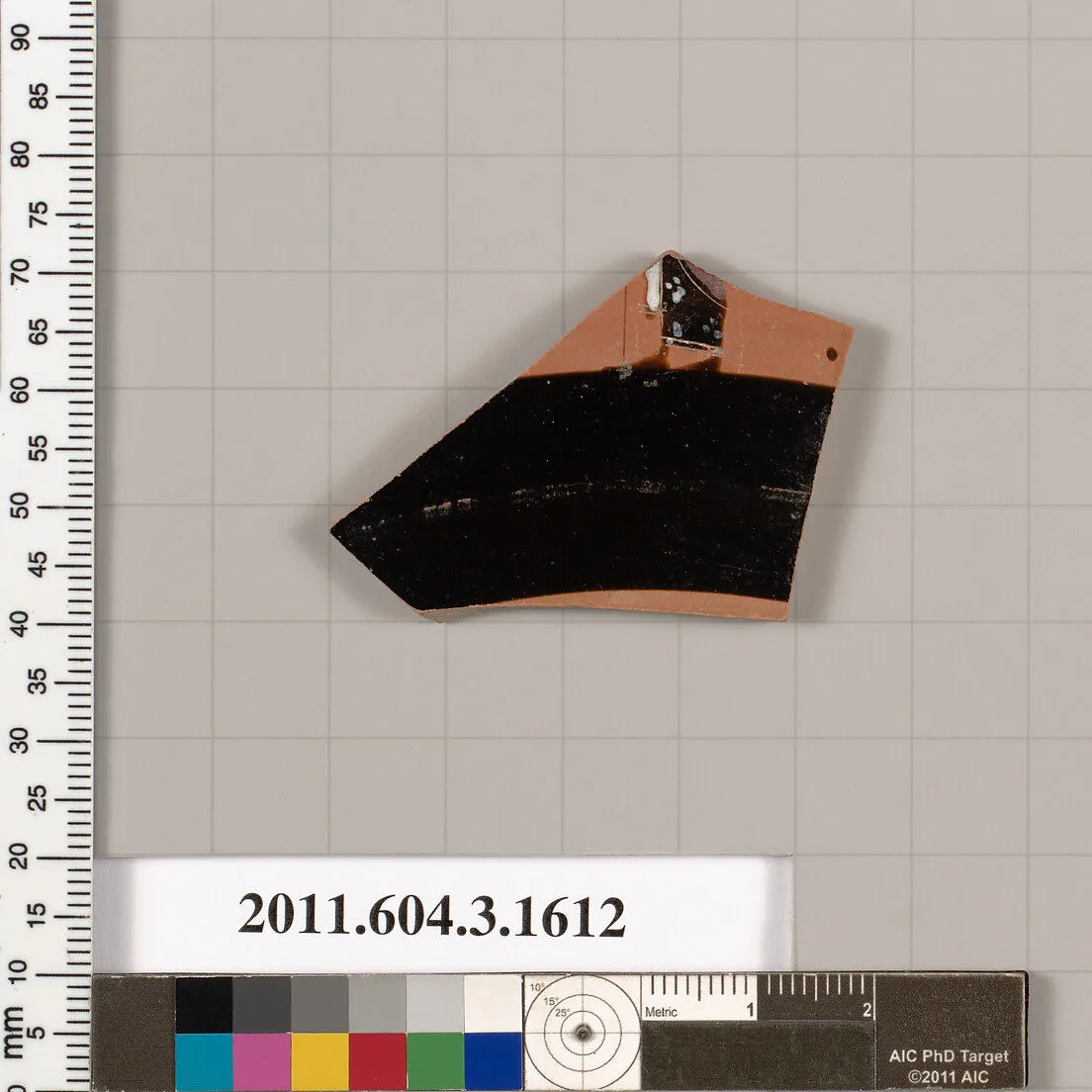 Terracotta fragment of a kylix: Band cup (drinking cup) — Unknown