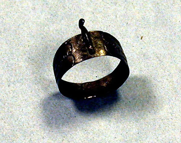 Ring: Chameleon — Unknown
