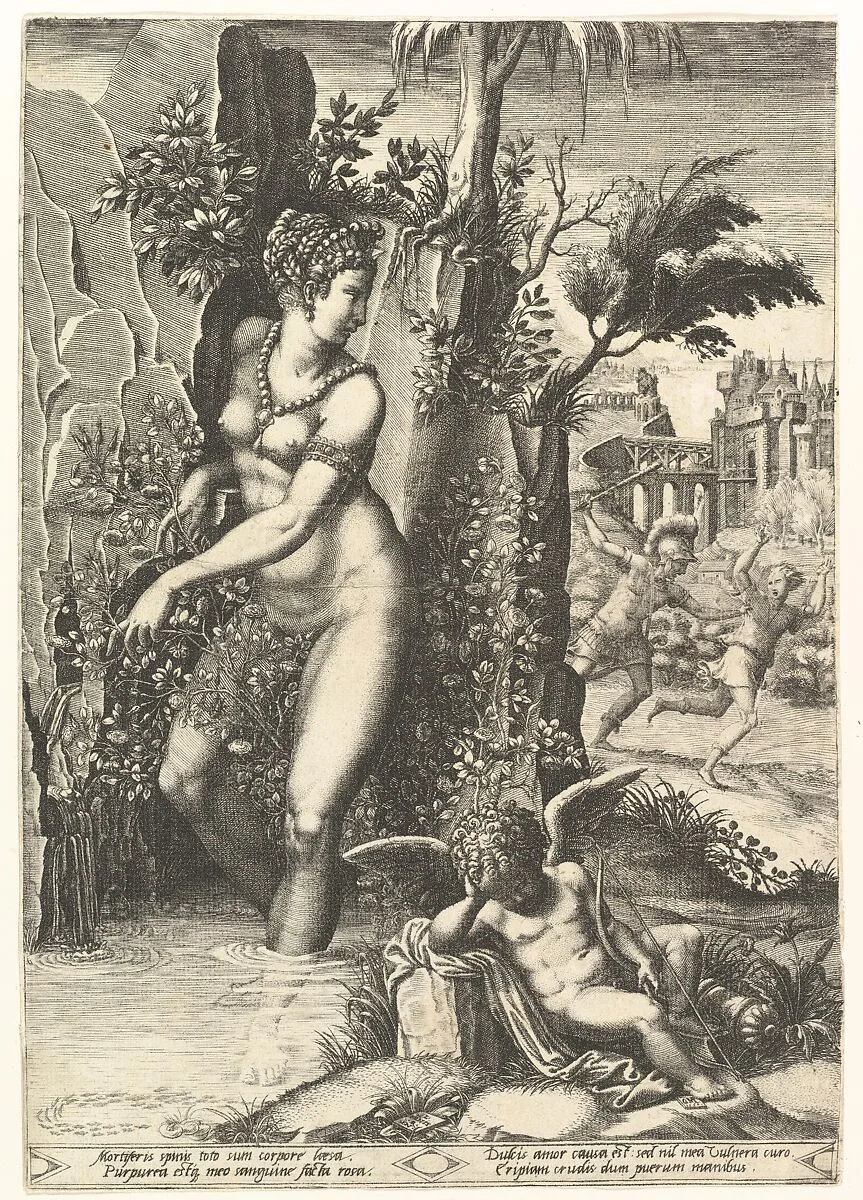 Venus pricked by the thorns on a rose bush, in the background Mars chasing Adonis, in the foreground winged cupid resting — Giorgio Ghisi|Luca Penni