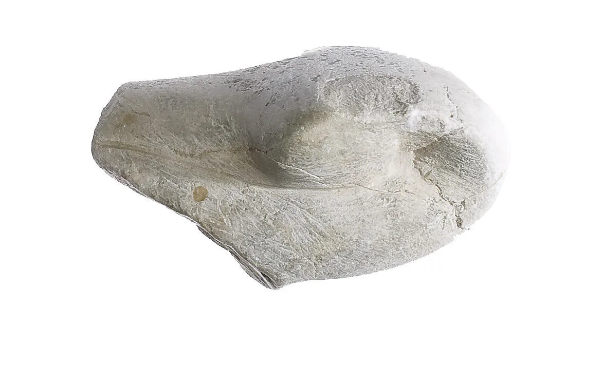 Cobra head — Unknown