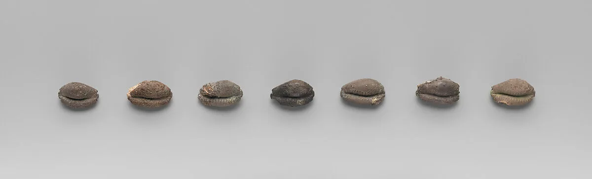 Seven beads in the shape of cowrie shells — Unknown