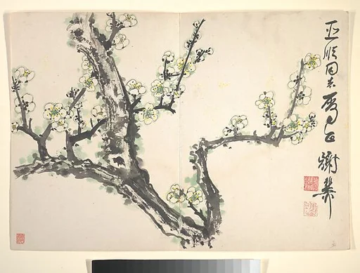 近代 謝稚柳 梅花 冊頁|Plum Blossom