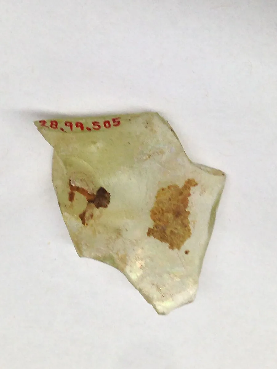 Fragment — Unknown
