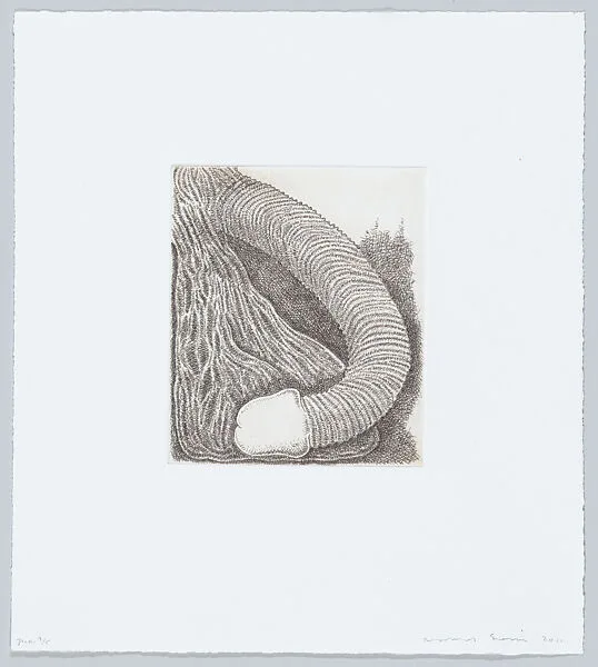 Membre (Member) — James Siena|Poligrafa Obra Gráfica