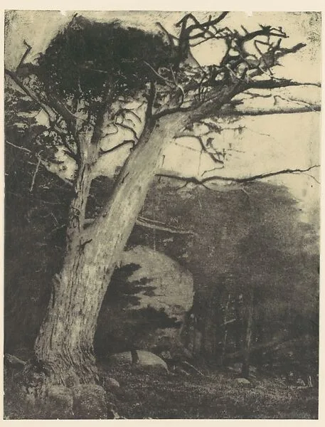 Cypress, Pebble Beach, California — Henry Ravell