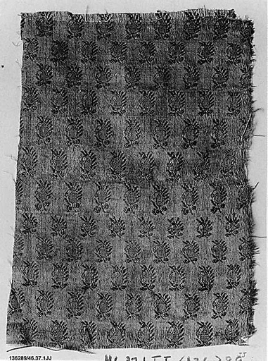 Textile Fragment