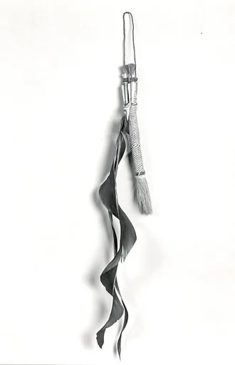 Brush