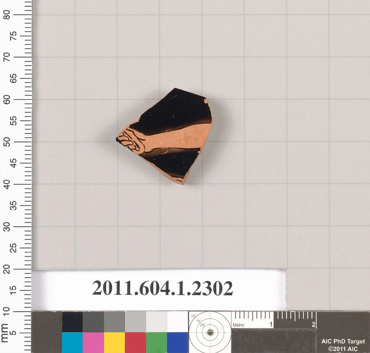 Terracotta fragment of a kylix (drinking cup) — Unknown