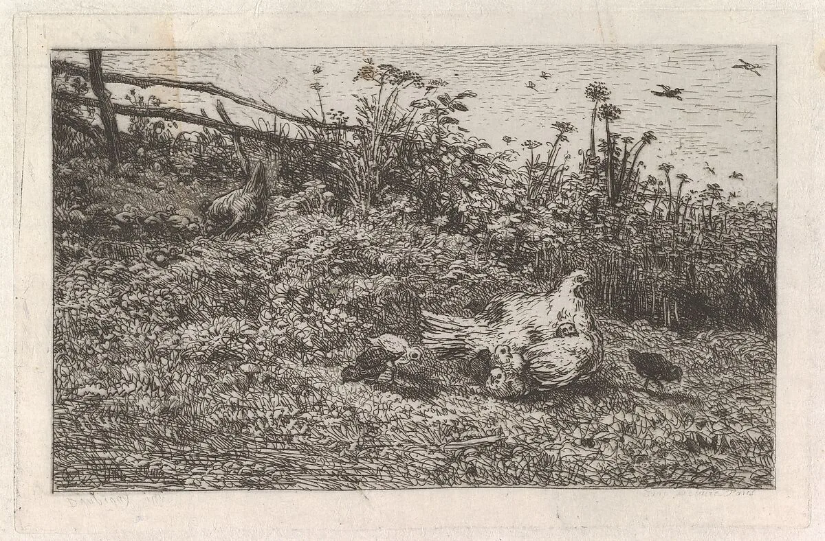 Le Poule et ses Poussins — Charles-François Daubigny|Auguste Delâtre