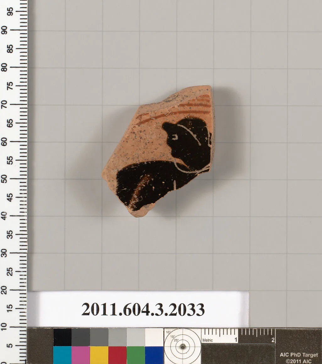 Terracotta fragment of a kylix (drinking cup) — Unknown
