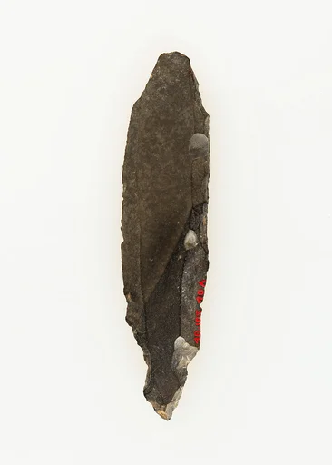Tanged Tool