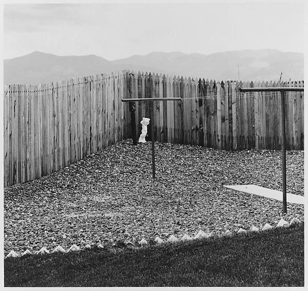 A Back Yard, Colorado Springs, Colorado — Robert Adams