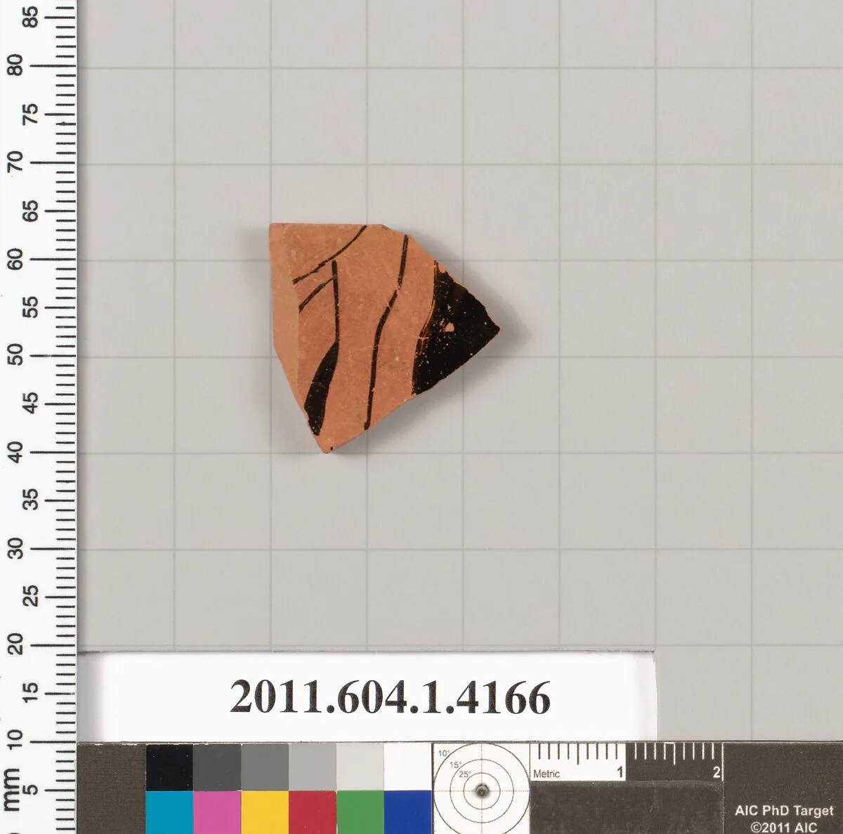 Terracotta fragment of a kylix (drinking cup) — Unknown