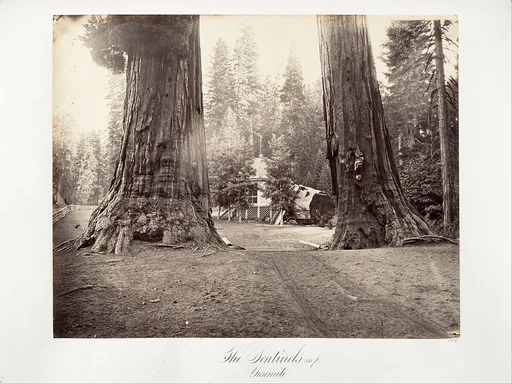 The Sentinels, 315 feet, Yosemite