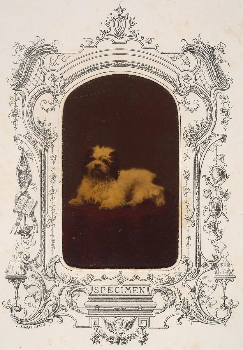 Les Chiens — Pierre-Louis Pierson