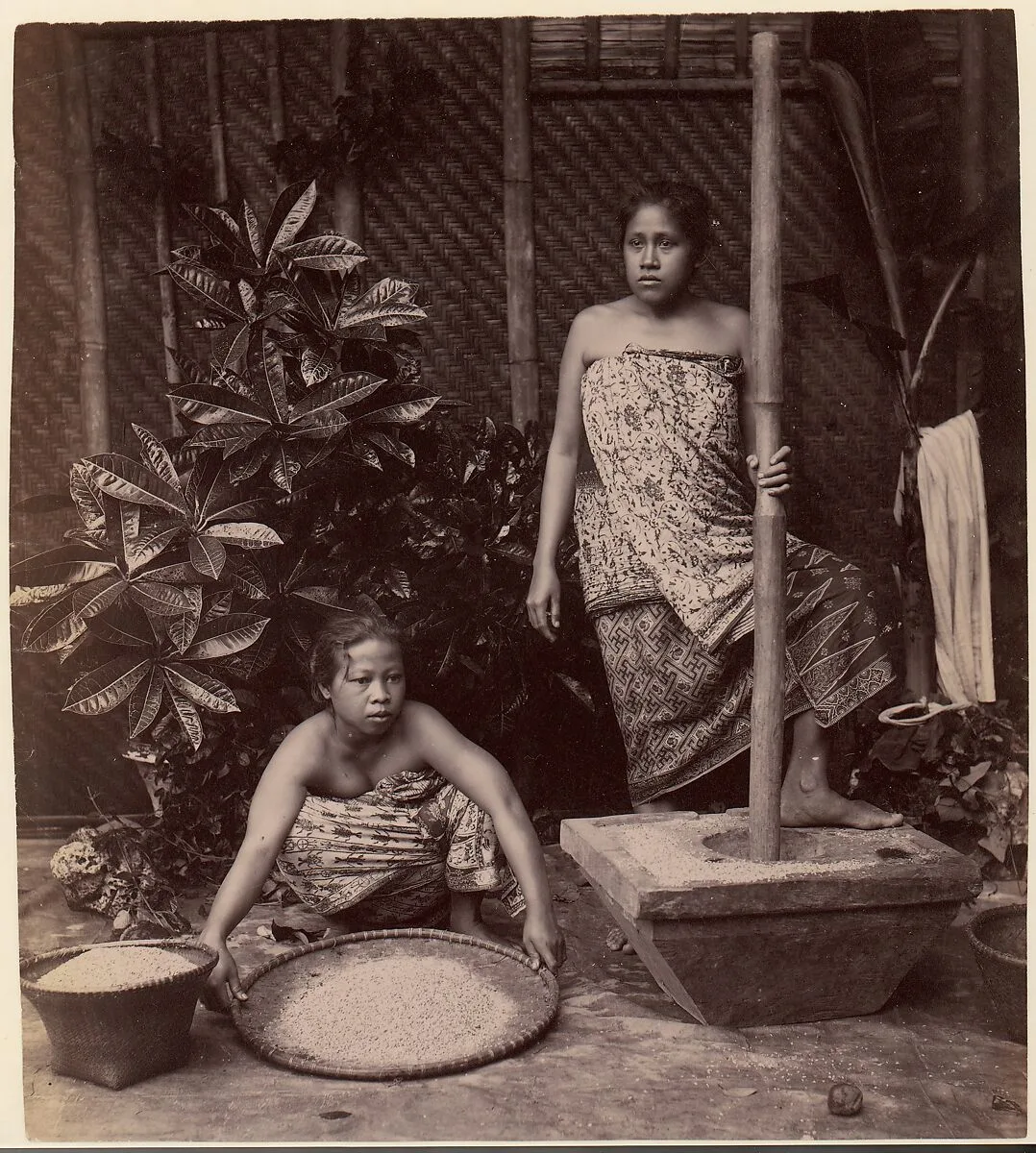 Javanese Women Preparing Rice — Unknown