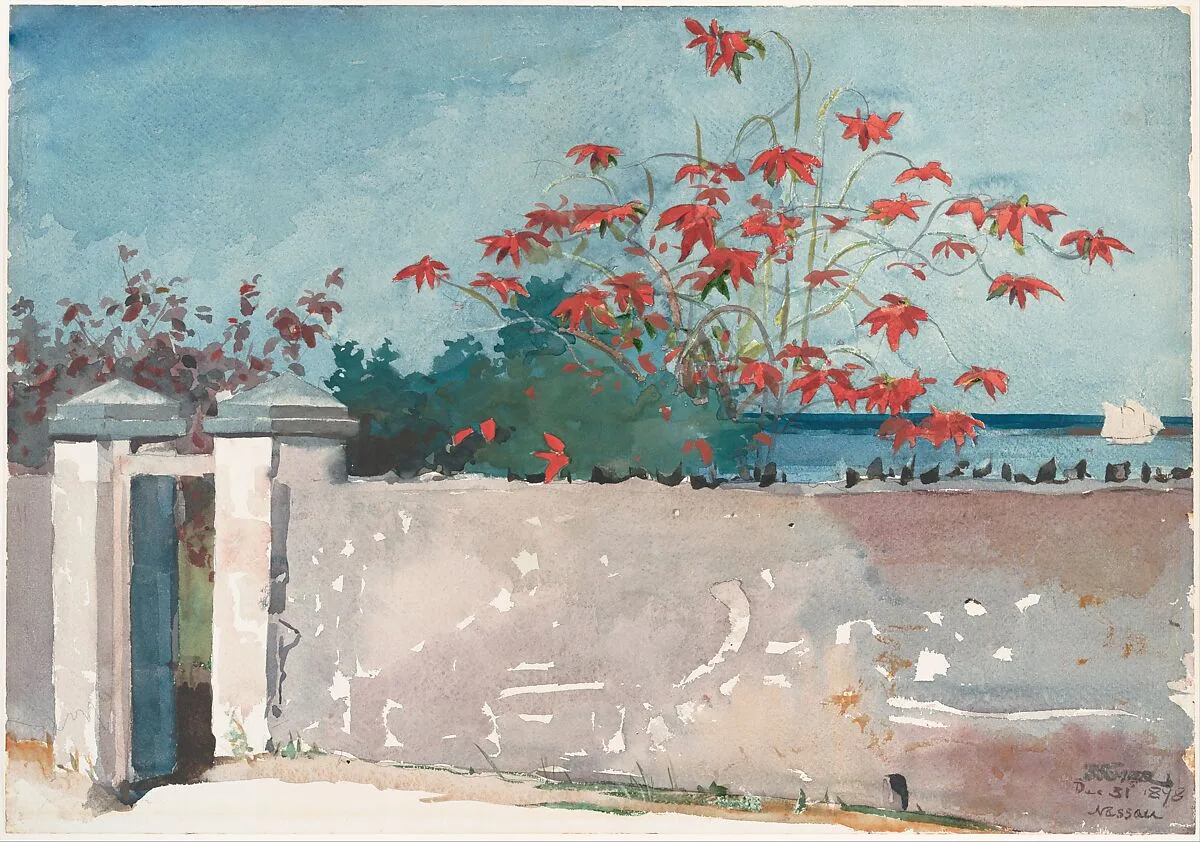 A Wall, Nassau — Winslow Homer