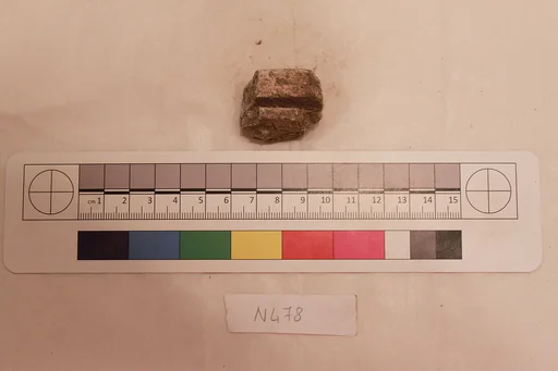 Stucco Fragment