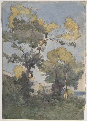 Landscape
