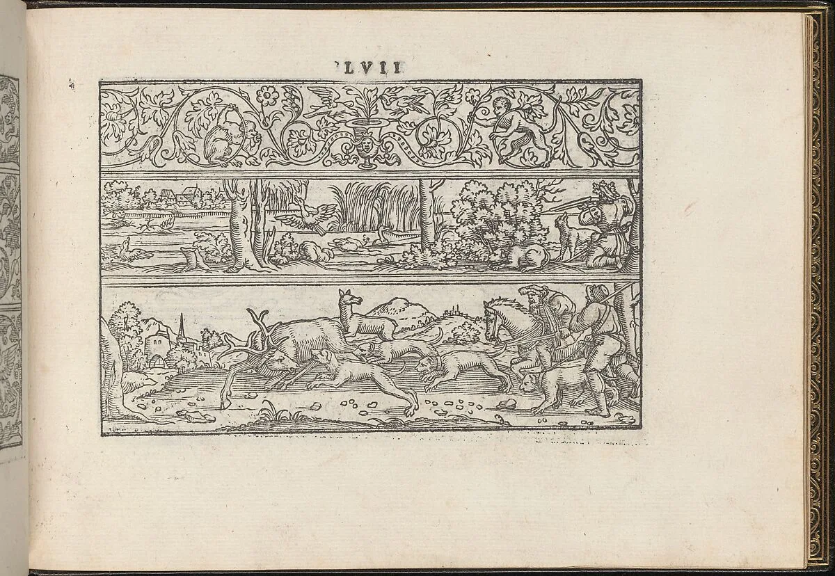 La Vera Perfettione del Disegno di varie sorti di recami, page 29 (recto) — Giovanni Ostaus|Giuseppe Salviati (Giuseppe Porta, called Il Salviati)