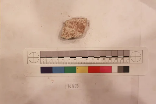Stucco Fragment