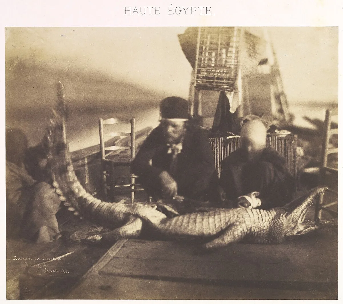 Autopsy of the First Crocodile Onboard, Upper Egypt — Ernest Benecke