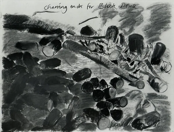 Charring Ends for Black Dome — David Nash