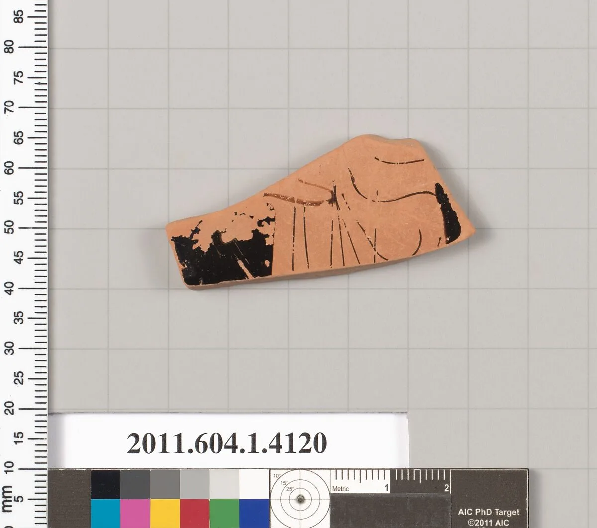 Terracotta fragment of a kylix (drinking cup) — Unknown