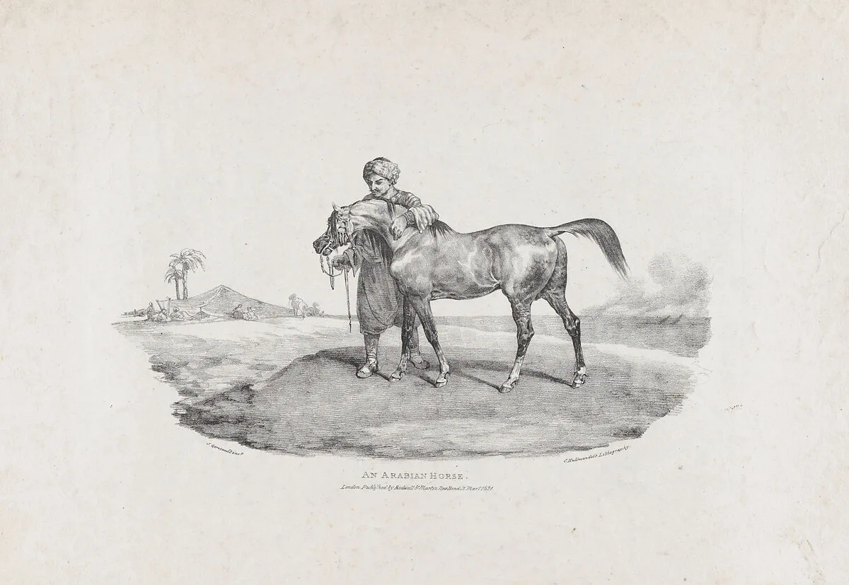 An Arabian Horse — Rodwell & Martin|Charles Joseph Hullmandel|Théodore Gericault