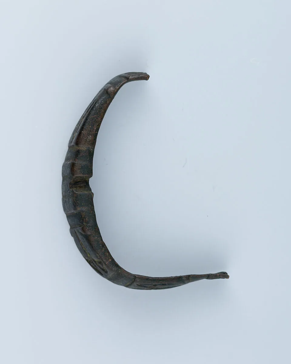 Part of a Buckle Loop — Unknown