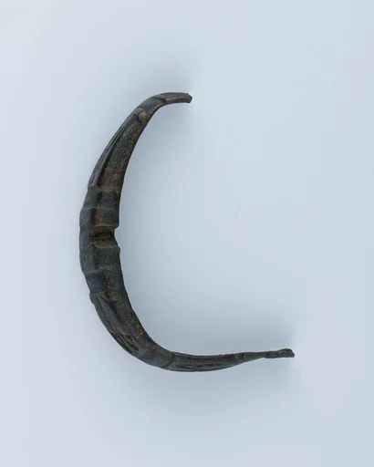 Part of a Buckle Loop