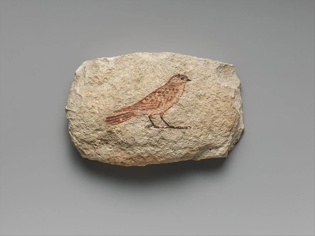 Artist's Sketch of a Sparrow — Unknown