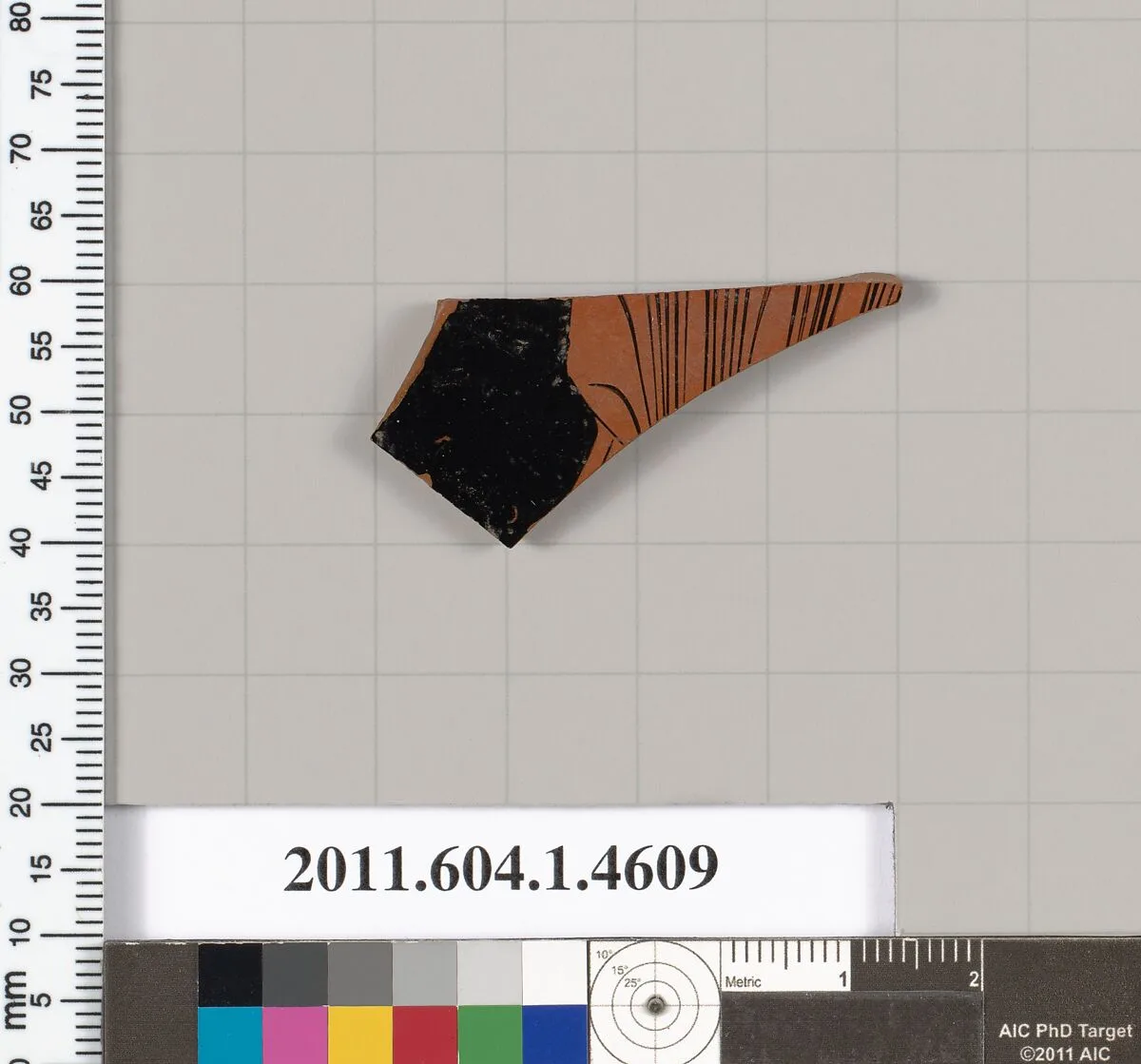 Terracotta fragment of a kylix (drinking cup) — Unknown