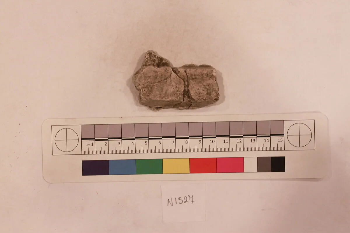 Stucco Fragment — Unknown