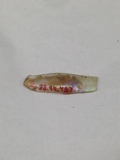 Fragment
