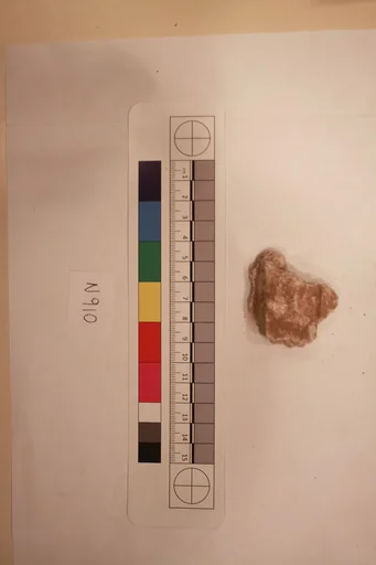 Stucco Fragment