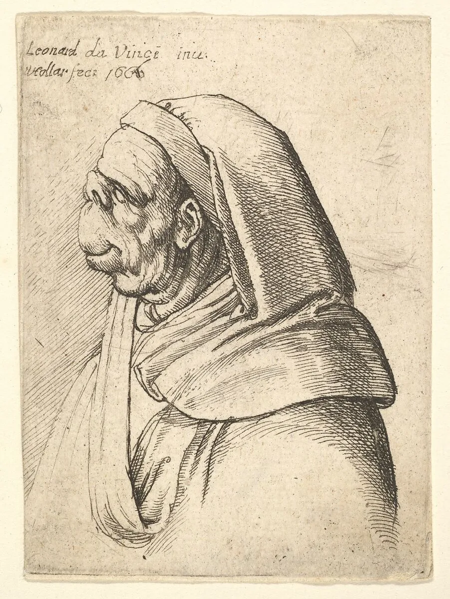 Bust of a man with a small turned-up nose and very high upper lip, wearing hood, in profile to the left — Leonardo da Vinci|Wenceslaus Hollar