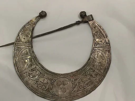 Fibula