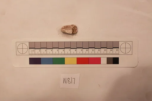Stucco Fragment