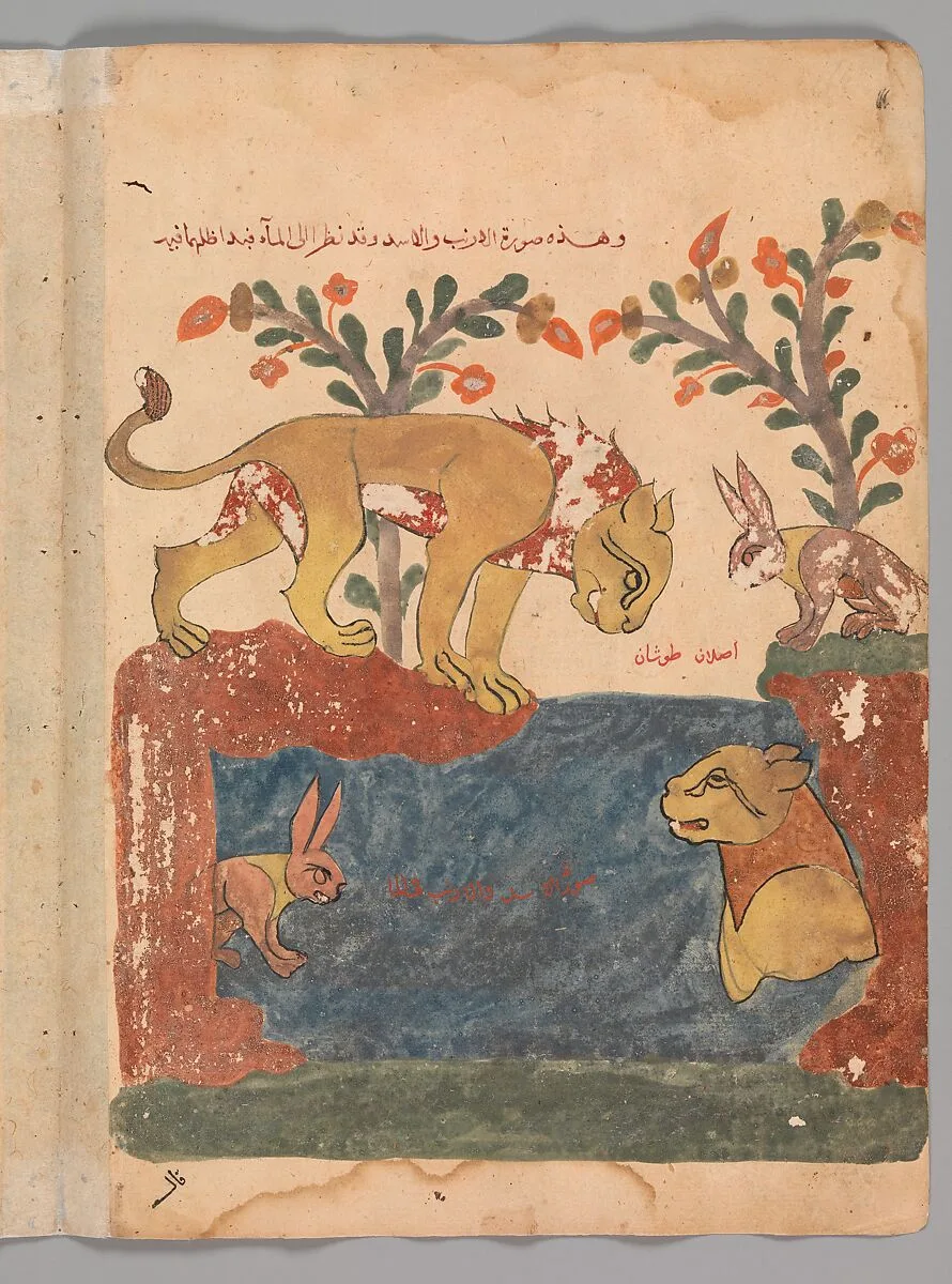 "The Hare, the Lion, and the Well", Folio from a Kalila wa Dimna — Unknown
