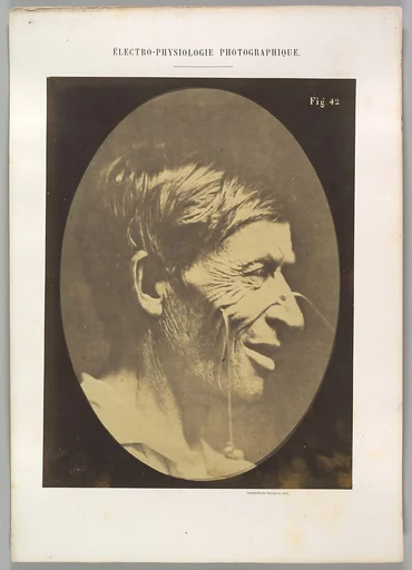 Figure 42: Gaiety expressed by the ideas of lustfulness, cynicism, and lewdness.