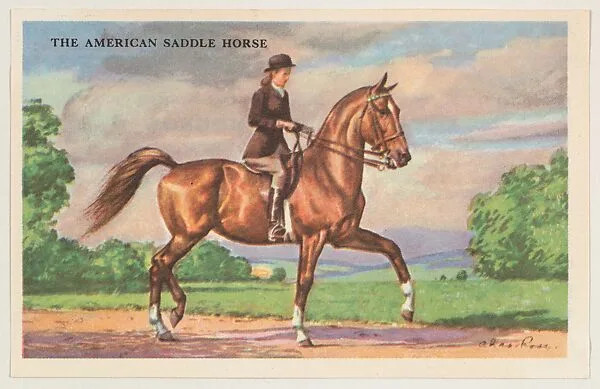 The American Saddle Horse, bakery card from the Horses series (D39-5), issued by the Gordon Bread Company — Gordon Bread Company