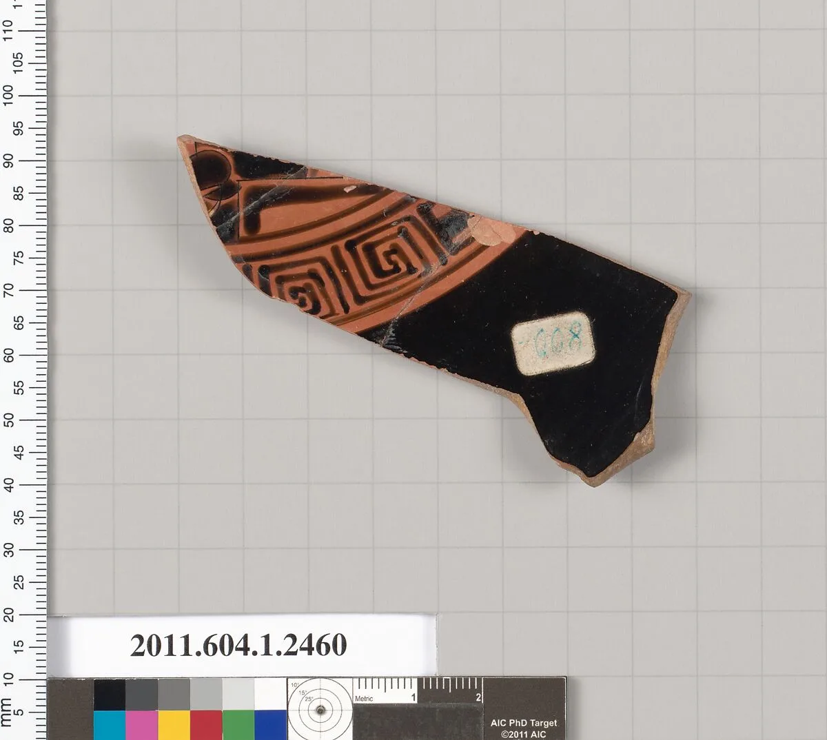Terracotta fragment of a kylix (drinking cup) — Unknown