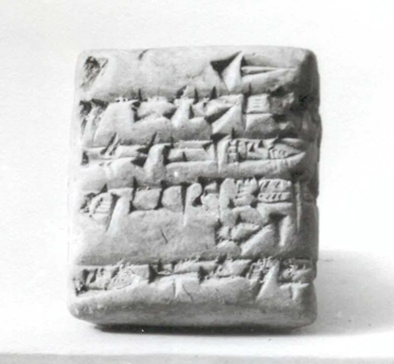 Cuneiform tablet: receipt of cattle — Unknown