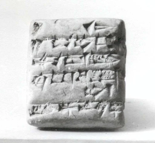 Cuneiform tablet: receipt of cattle