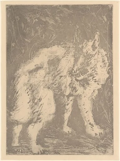 Wolf, from ¦Picasso: Original Etchings for the Texts of Buffon¦