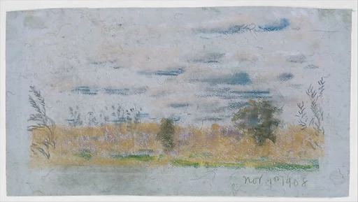 Meadow Weeds