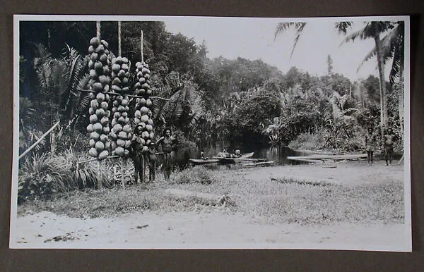 Men and Coconuts — Dr. Paul Baron de Rautenfeld