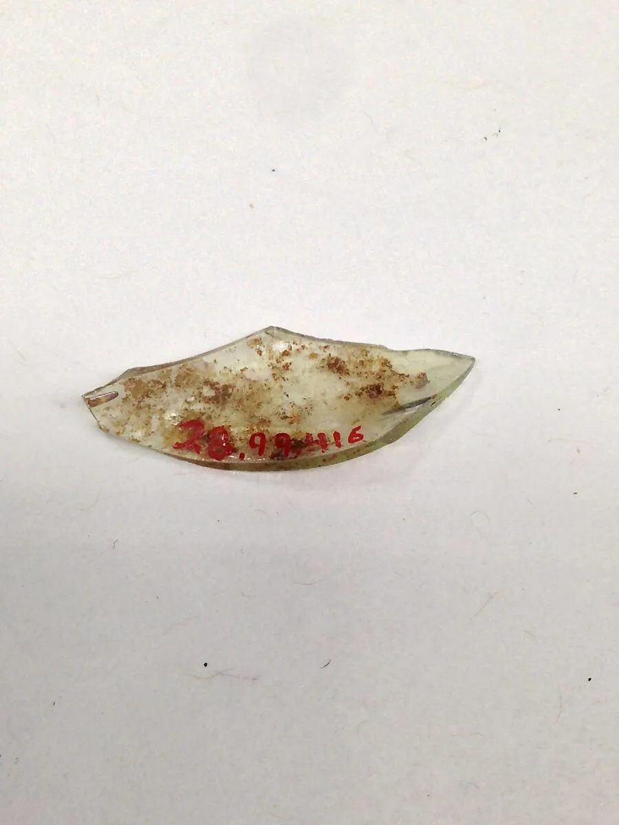 Fragment — Unknown